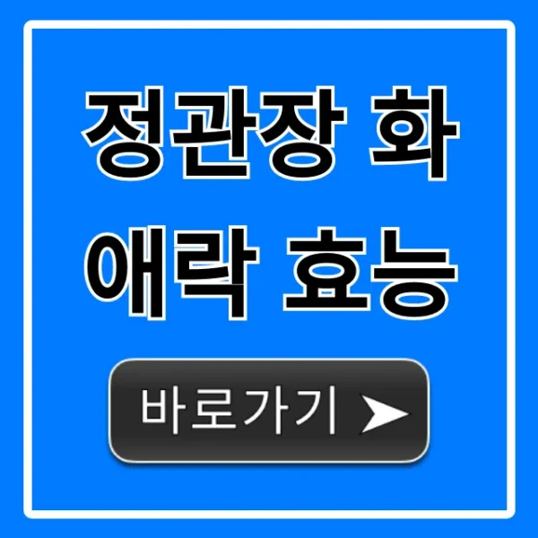 정관장 화애락 효능, 갱년기 가격 후기 총정리