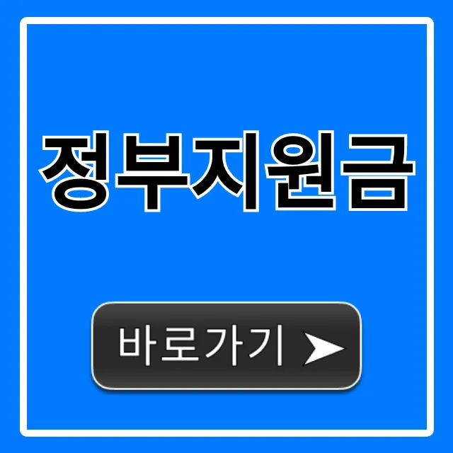 정부지원금 1분 만에 조회! 신청까지 완벽 가이드 정부지원금 1분 만에 조회! 신청까지 완벽 가이드