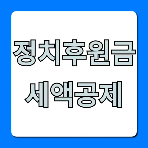 정치후원금 세액공제, 연말정산 꿀팁 총정리