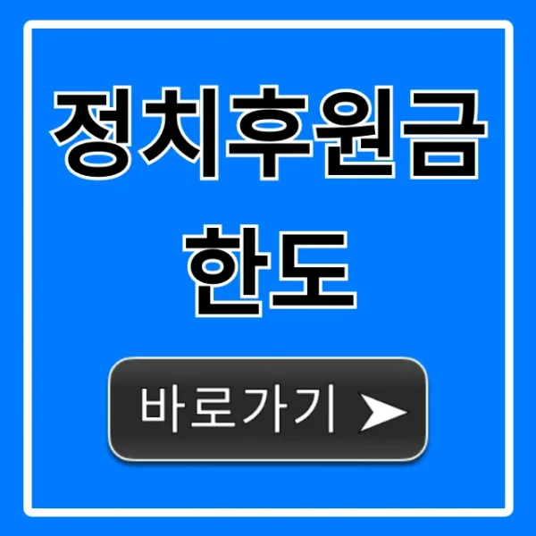 정치후원금 한도! 개인별 완벽 가이드