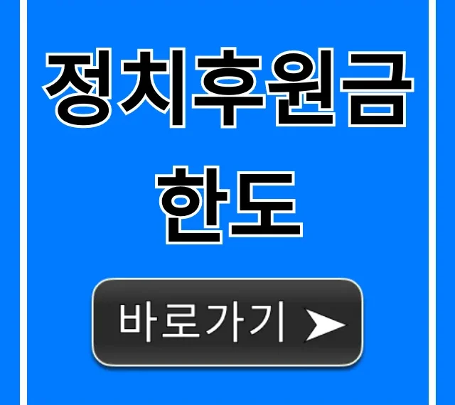 정치후원금 한도! 개인별 완벽 가이드 정치후원금 한도! 개인별 완벽 가이드