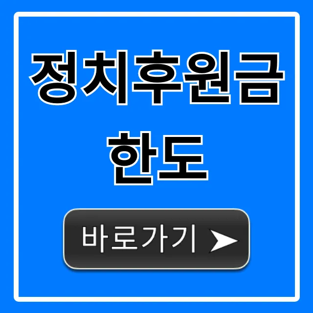 정치후원금 한도! 개인별 완벽 가이드