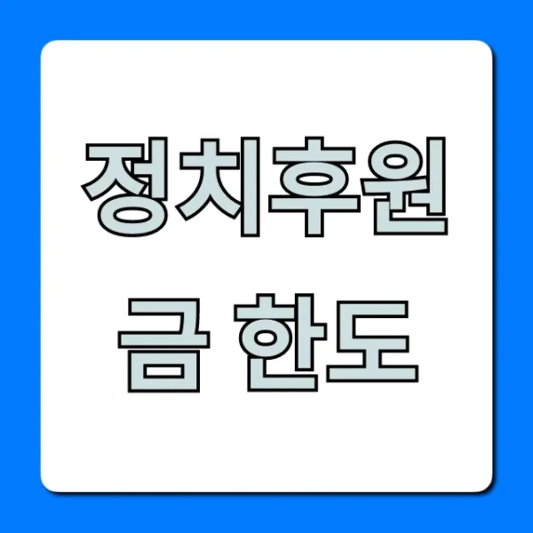 정치후원금 한도 총정리: 세액공제 꿀팁까지!