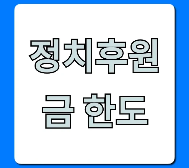 정치후원금 한도 총정리: 세액공제 꿀팁까지!