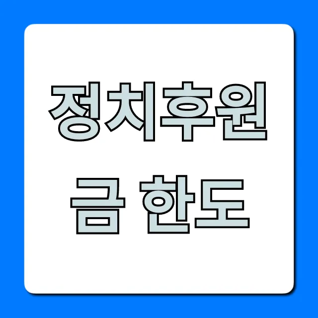 정치후원금 한도 총정리: 세액공제 꿀팁까지!