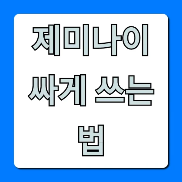 제미나이 싸게 쓰는 법! 구독료 할인 완벽 가이드