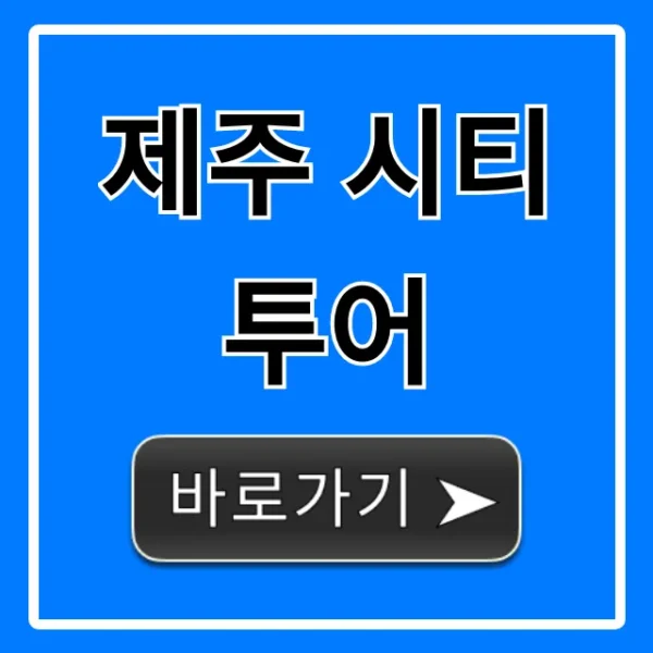 제주 시티투어 총정리 뚜벅이 여행 코스 꿀팁