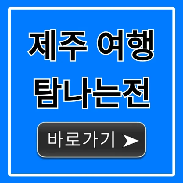 제주 여행 탐나는전 신청 방법 및 혜택 총정리