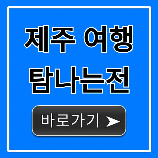 제주 여행 탐나는전 신청 방법과 꿀팁 총정리 제주 여행 탐나는전 신청 방법과 꿀팁 총정리