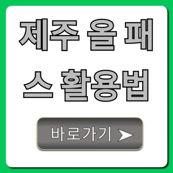 제주 올 패스 활용법, 가성비 끝판왕 꿀팁 총정리