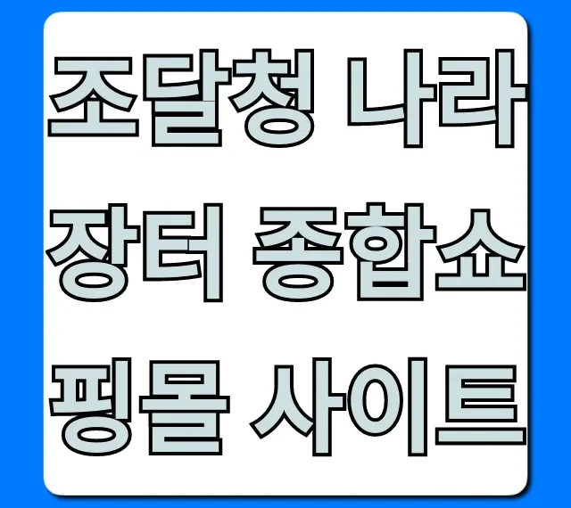 조달청 나라장터 종합쇼핑몰 사이트 완벽 가이드