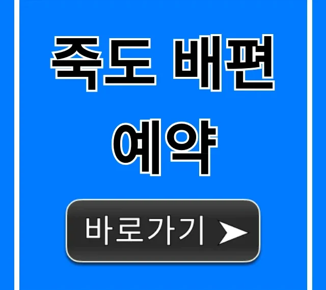죽도 배편 예약 최신 가격 시간 총정리