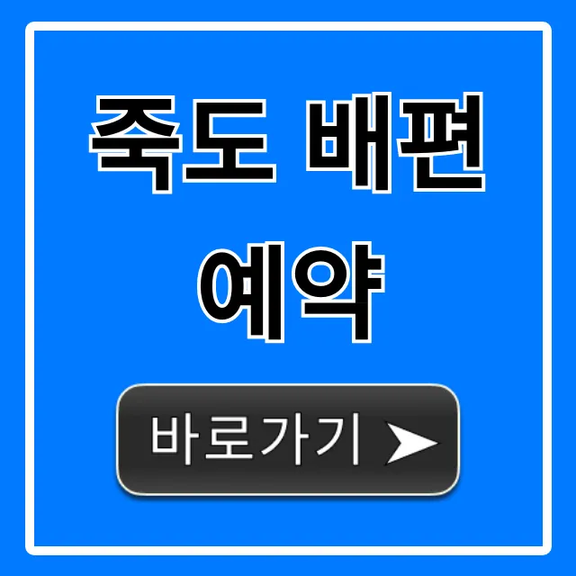 죽도 배편 예약 최신 가격 시간 총정리