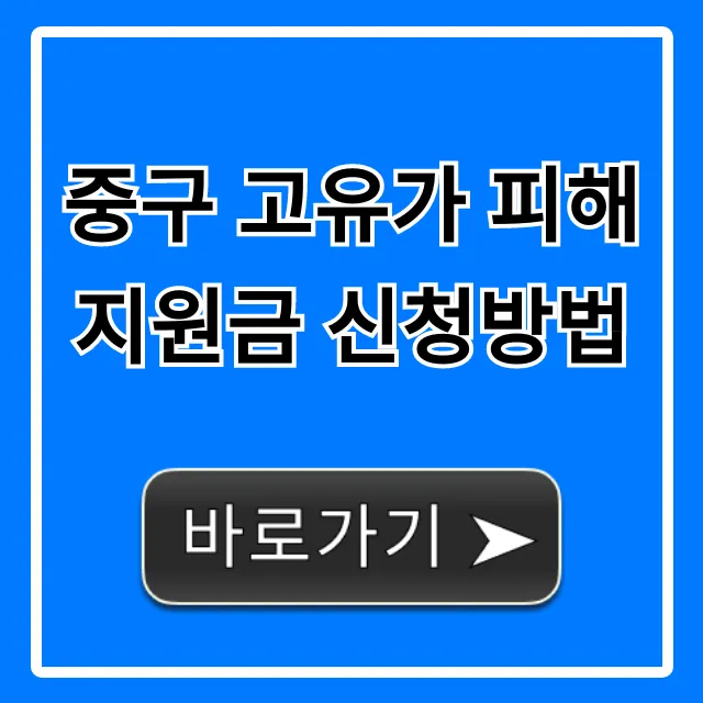 중구 고유가 피해지원금 신청방법, 놓치면 후회할 꿀팁 중구 고유가 피해지원금 신청방법, 놓치면 후회할 꿀팁