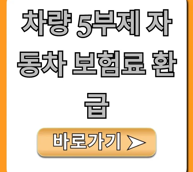 차량 5부제 자동차 보험료 환급 신청 방법 총정리