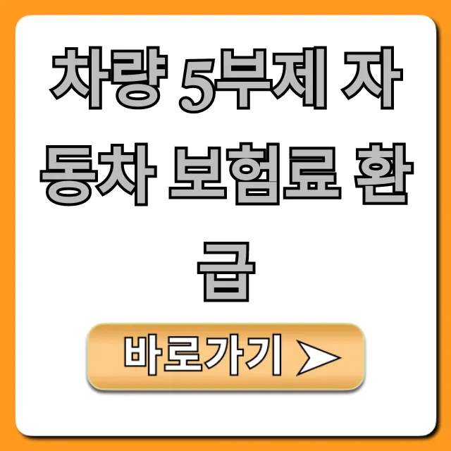 차량 5부제 자동차 보험료 환급 신청 방법 총정리