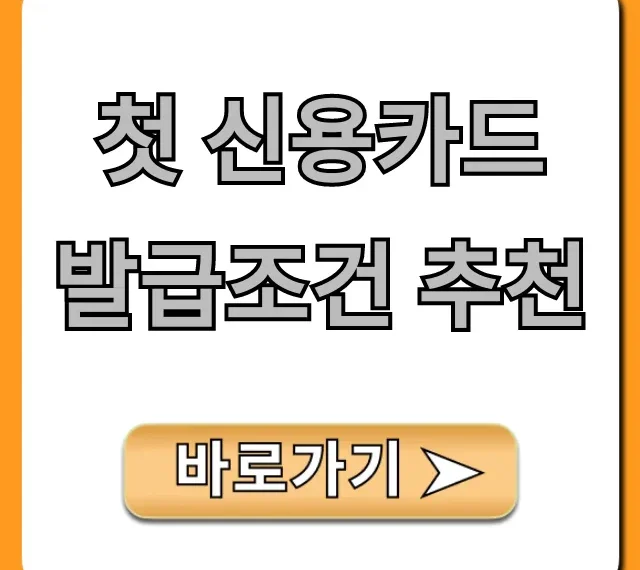첫 신용카드 발급조건 추천, 사회초년생 완벽 가이드