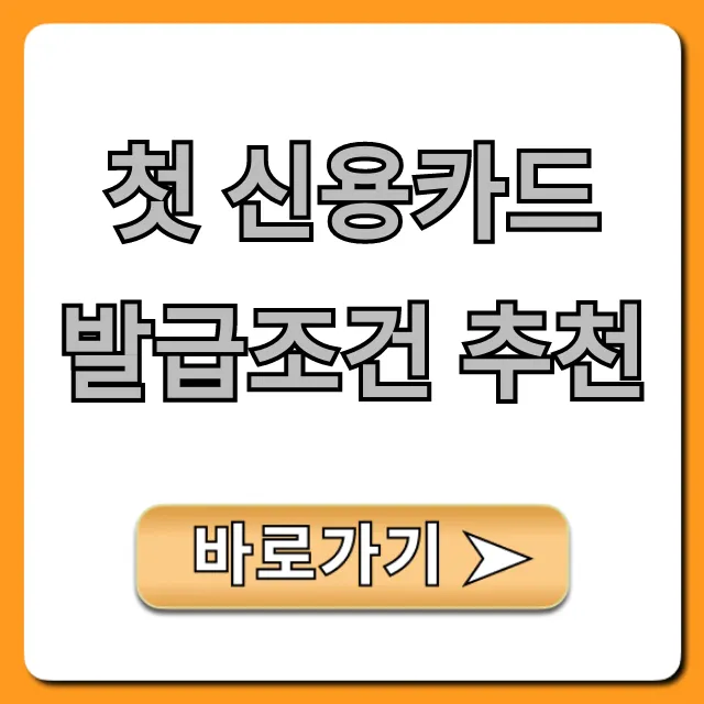 첫 신용카드 발급조건 추천, 사회초년생 완벽 가이드