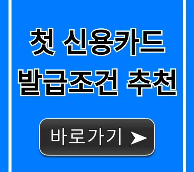첫 신용카드 발급조건 추천, 사회초년생 완벽 가이드