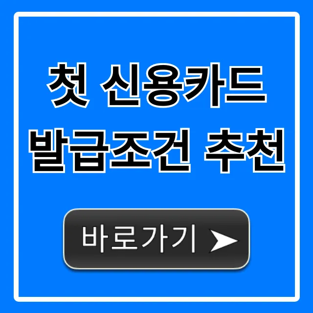 첫 신용카드 발급조건 추천, 사회초년생 완벽 가이드