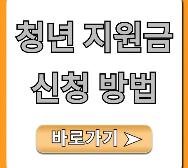 청년 지원금 신청 방법, 2024년 자격 조건 완벽 가이드