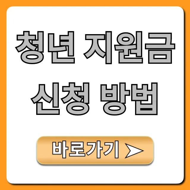 청년 지원금 신청 방법, 2024년 자격 조건 완벽 가이드