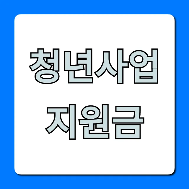 청년사업지원금 2024, 신청부터 수령까지 완벽 정리 청년사업지원금 2024, 신청부터 수령까지 완벽 정리