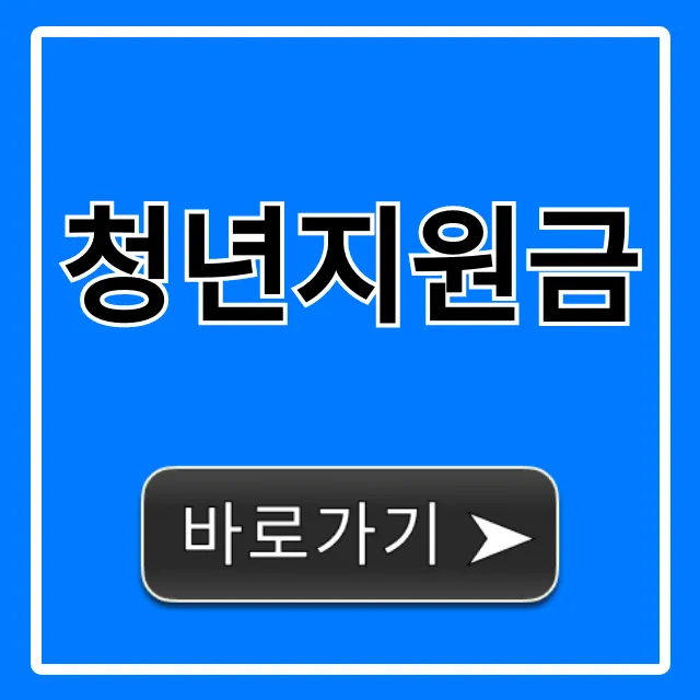 청년지원금 2024 신청 방법 총정리 청년지원금 2024 신청 방법 총정리