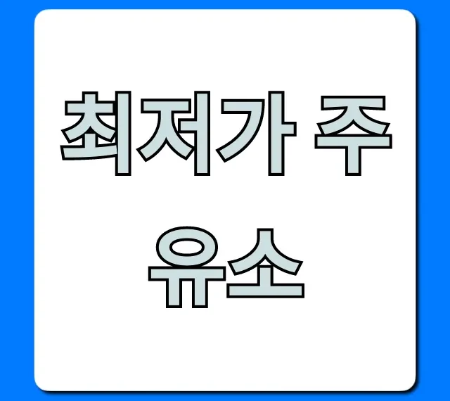 최저가 주유소 할인 꿀팁! 주유비 절약 총정리 최저가 주유소 할인 꿀팁! 주유비 절약 총정리