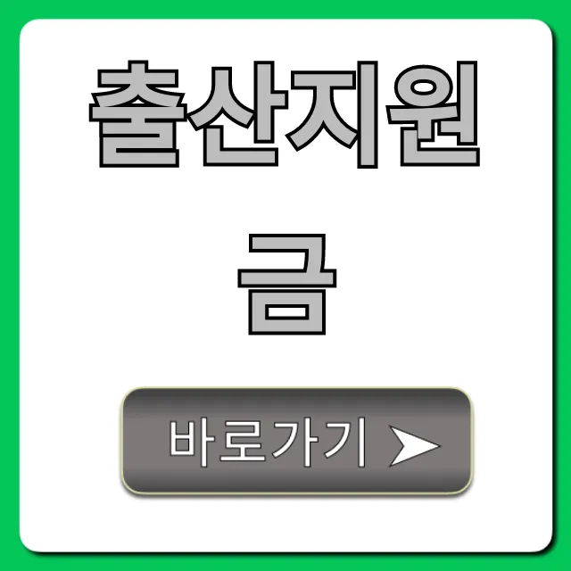 출산지원금 2024 신청 방법 및 금액 총정리 출산지원금 2024 신청 방법 및 금액 총정리