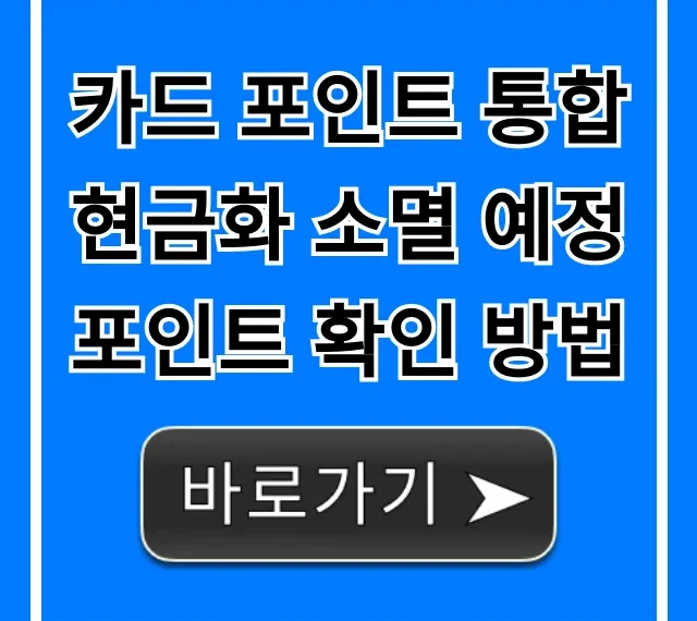 카드 포인트 통합 현금화 소멸 예정 포인트 확인 방법 총정리