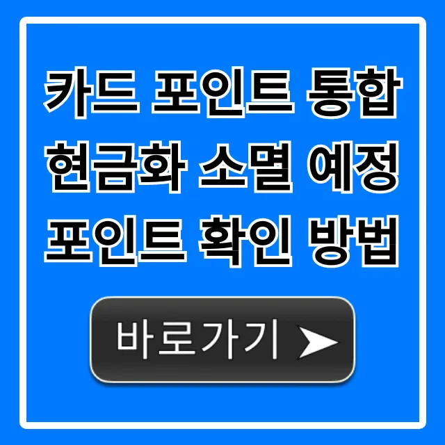 카드 포인트 통합 현금화 소멸 예정 포인트 확인 방법 총정리