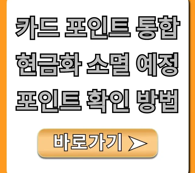 카드 포인트 통합 현금화 소멸 예정 포인트 확인 방법