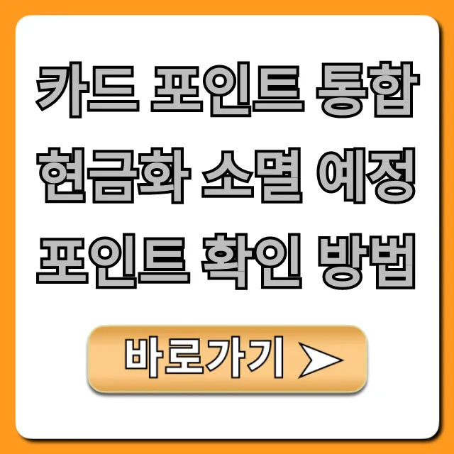 카드 포인트 통합 현금화 소멸 예정 포인트 확인 방법