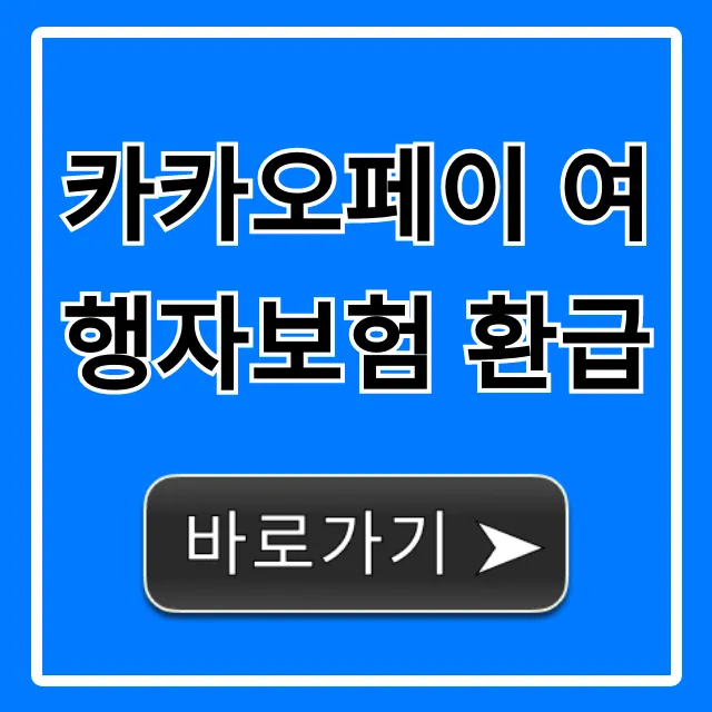 카카오페이 여행자보험 환급 총정리 및 신청 꿀팁 카카오페이 여행자보험 환급 총정리 및 신청 꿀팁