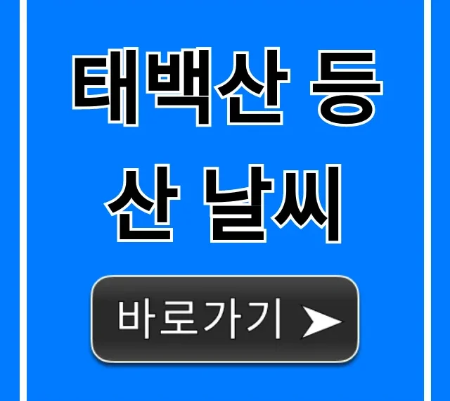 태백산 등산 날씨, 준비물까지 완벽 정리!