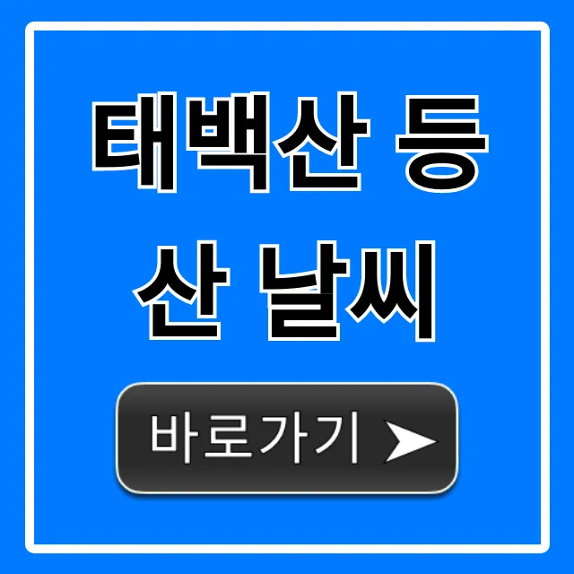 태백산 등산 날씨, 준비물까지 완벽 정리!