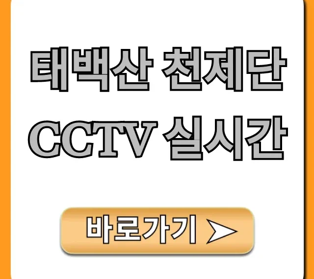 태백산 천제단 CCTV 실시간: 날씨와 일출 완벽 가이드 태백산 천제단 CCTV 실시간: 날씨와 일출 완벽 가이드