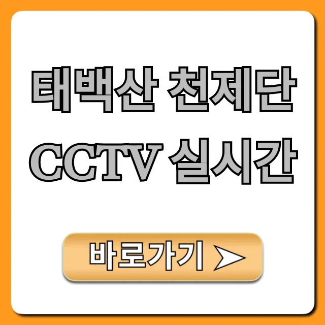 태백산 천제단 CCTV 실시간: 날씨와 일출 완벽 가이드