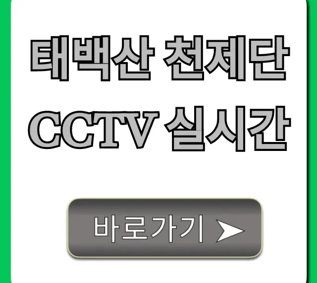 태백산 천제단 CCTV 실시간 조회: 현재 상황 확인 꿀팁 태백산 천제단 CCTV 실시간 조회: 현재 상황 확인 꿀팁