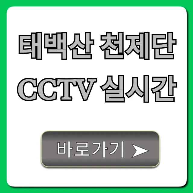 태백산 천제단 CCTV 실시간 조회: 현재 상황 확인 꿀팁 태백산 천제단 CCTV 실시간 조회: 현재 상황 확인 꿀팁