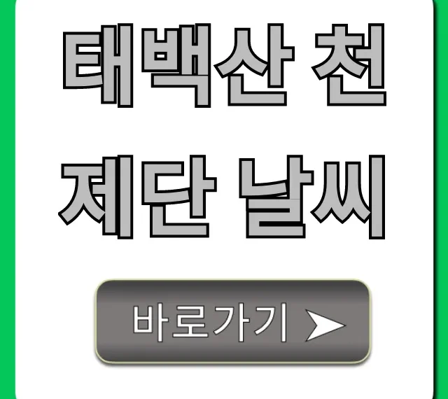 태백산 천제단 날씨: 등산 전 필수 체크 꿀팁 태백산 천제단 날씨: 등산 전 필수 체크 꿀팁