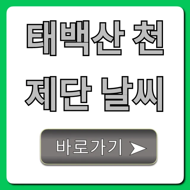 태백산 천제단 날씨: 등산 전 필수 체크 꿀팁