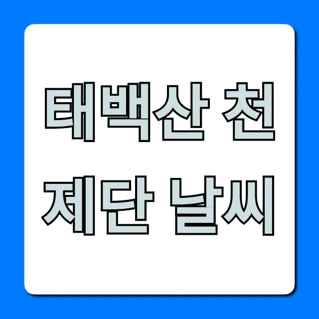 태백산 천제단 날씨 실시간 기온 완벽 가이드