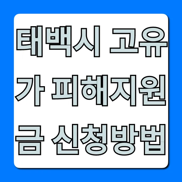 태백시 고유가 피해지원금 신청방법: 대상, 기간 총정리