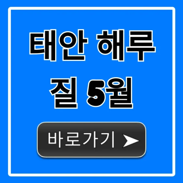 태안 해루질 5월 꿀팁! 물때부터 장소까지 완벽 가이드