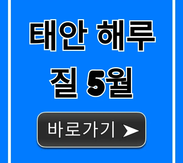 태안 해루질 5월 꿀팁! 물때부터 장소까지 완벽 가이드 태안 해루질 5월 꿀팁! 물때부터 장소까지 완벽 가이드