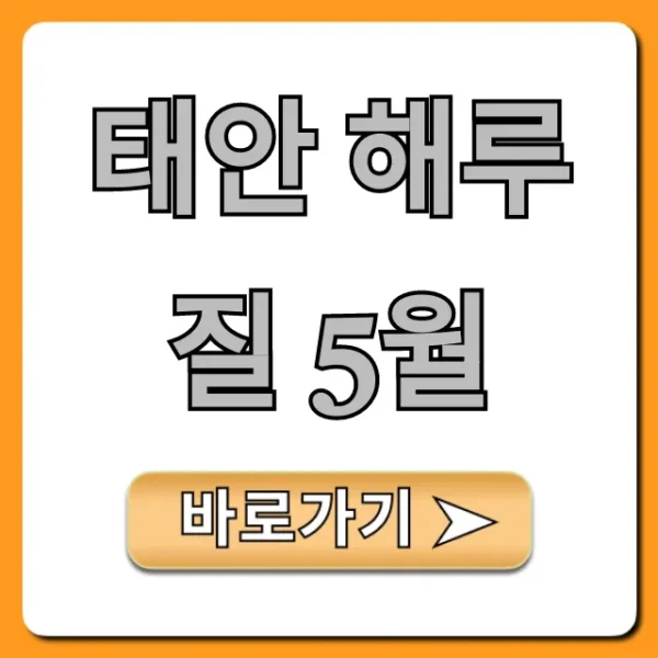 태안 해루질 5월, 조과 & 물때 꿀팁 총정리