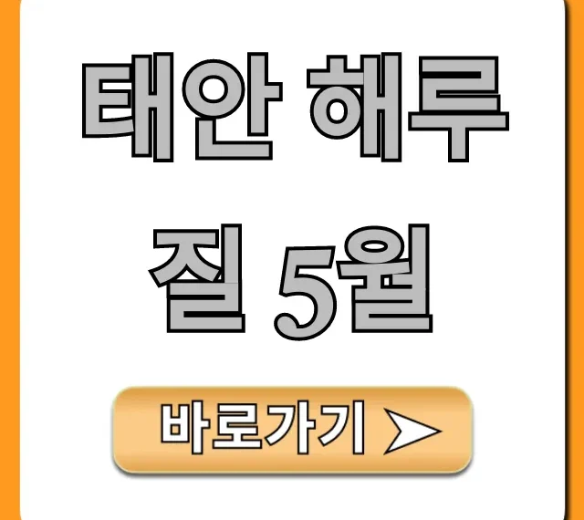 태안 해루질 5월, 조과 & 물때 꿀팁 총정리