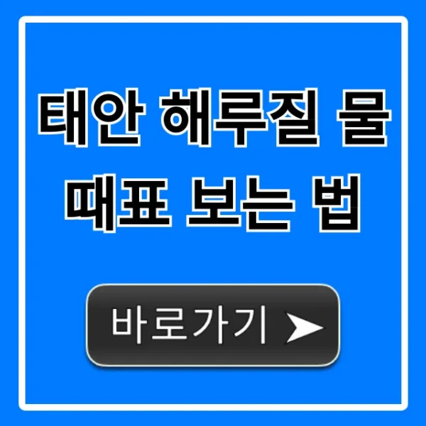 태안 해루질 물때표 보는 법 완벽 가이드